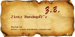 Zintz Bendegúz névjegykártya