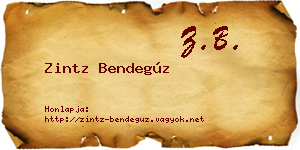 Zintz Bendegúz névjegykártya